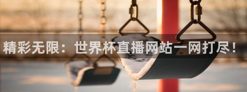 世界杯直播平台：精彩无限：世界杯直播网站一网打尽！