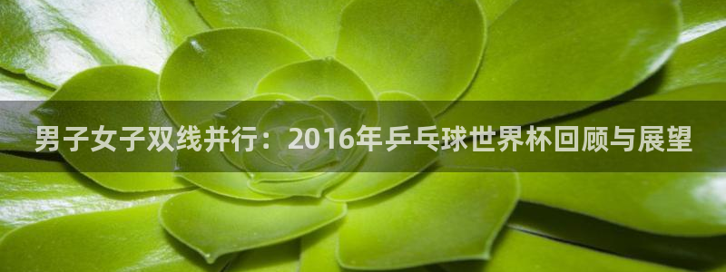 世界杯直播网：男子女子双线并行：2016年乒乓球世界杯回顾与展望