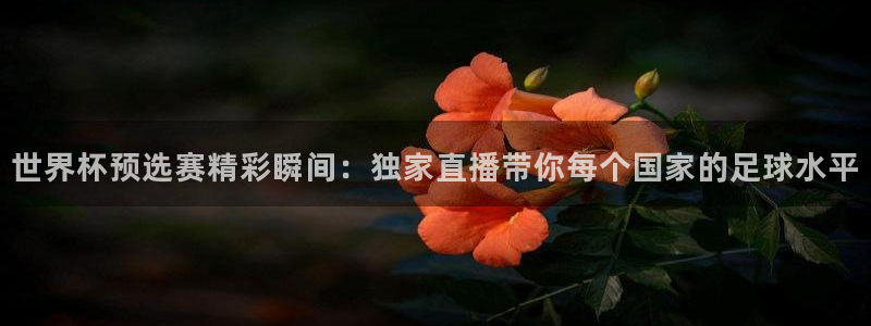 2006年世界杯：世界杯预选赛精彩瞬间：独家直播带你每个国家的足球水平