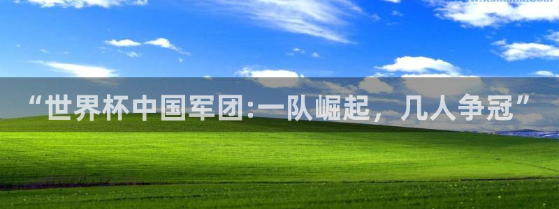 世界杯球赛：“世界杯中国军团:一队崛起，几人争冠”
