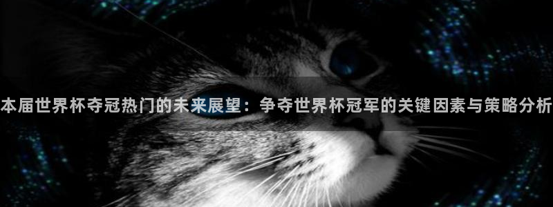 世界杯预选赛规则：本届世界杯夺冠热门的未来展望：争夺世界杯冠军的关键因素与策略分析