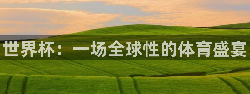 世界杯预选赛规则：世界杯：一场全球性的体育盛宴