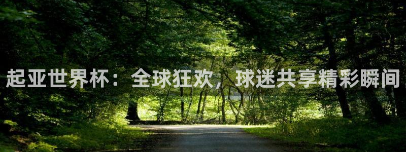 2026 世界杯：起亚世界杯：全球狂欢，球迷共享精彩瞬间