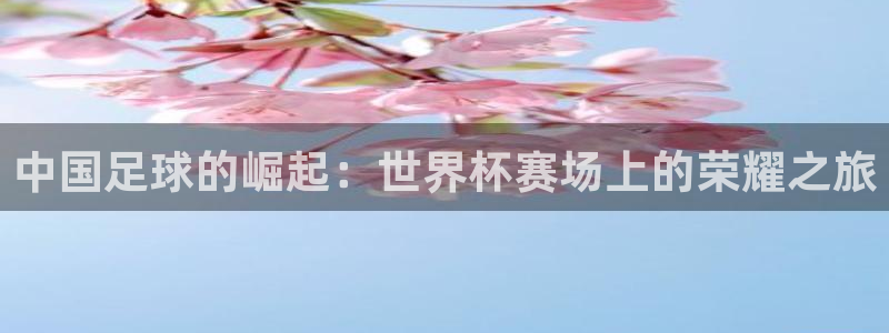 2026世预赛赛程