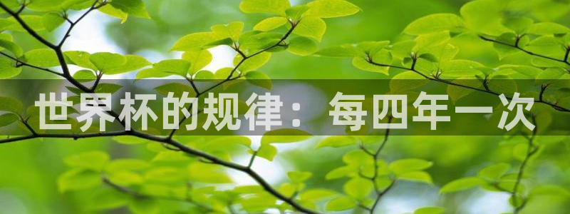 世界杯足球赛2026赛程时间：世界杯的规律：每四年一次