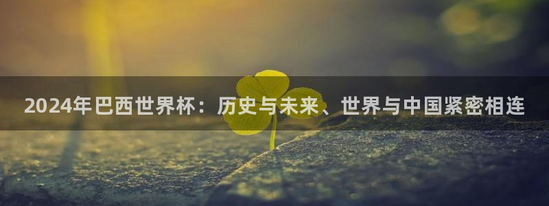 世界杯预选赛：2024年巴西世界杯：历史与未来、世界与中国紧密相连