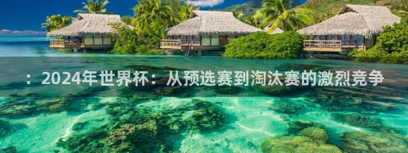 2026世界杯对阵图：：2024年世界杯：从预选赛到淘汰赛的激烈竞争