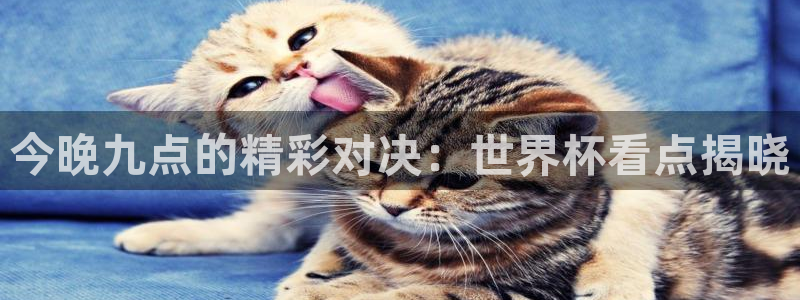 中国 世界杯：今晚九点的精彩对决：世界杯看点揭晓