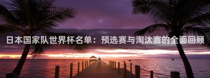 世界杯预赛赛程：日本国家队世界杯名单：预选赛与淘汰赛的全面回顾