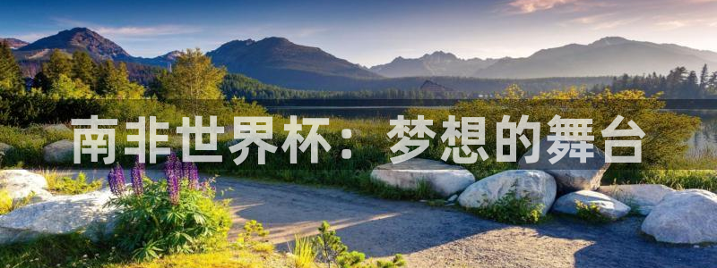 2026世界杯日期：南非世界杯：梦想的舞台