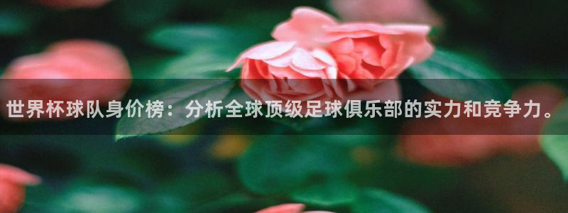 免费看足球直播比赛：世界杯球队身价榜：分析全球顶级足球俱乐部的实力和竞争力。