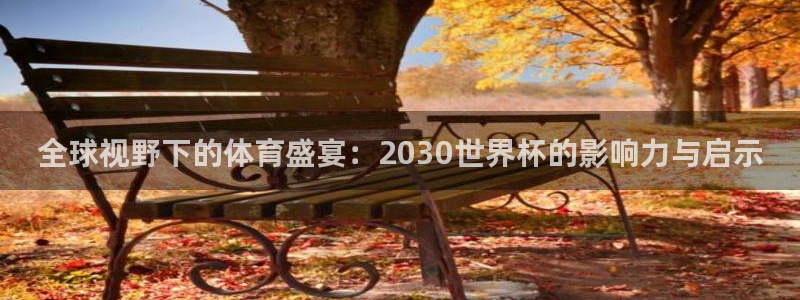 世界杯预选赛规则：全球视野下的体育盛宴：2030世界杯的影响力与启示
