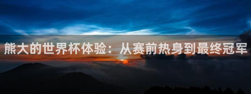 世界杯球队：熊大的世界杯体验：从赛前热身到最终冠军